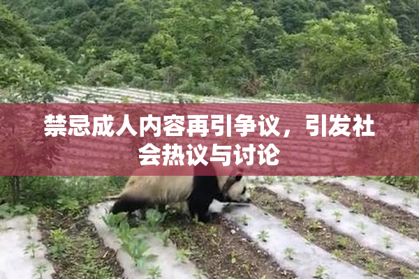 禁忌成人内容再引争议，引发社会热议与讨论