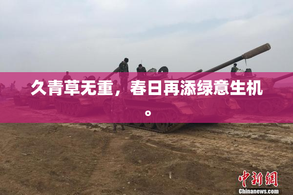 久青草无重，春日再添绿意生机。