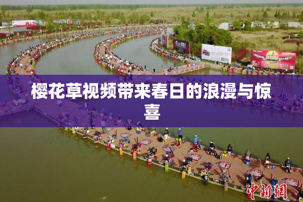 樱花草视频带来春日的浪漫与惊喜