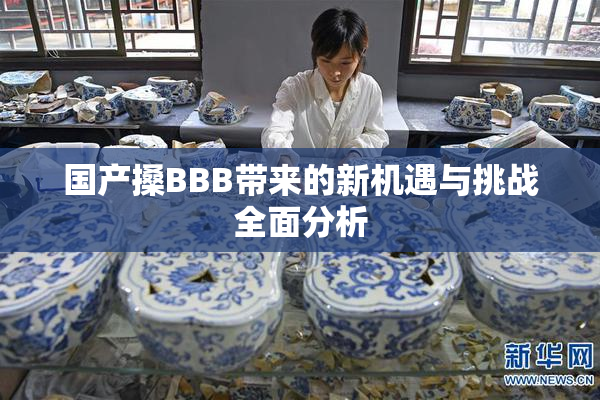 国产搡BBB带来的新机遇与挑战全面分析