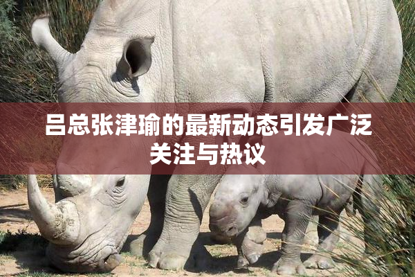 吕总张津瑜的最新动态引发广泛关注与热议