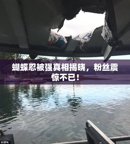 蝴蝶忍被强真相揭晓，粉丝震惊不已！