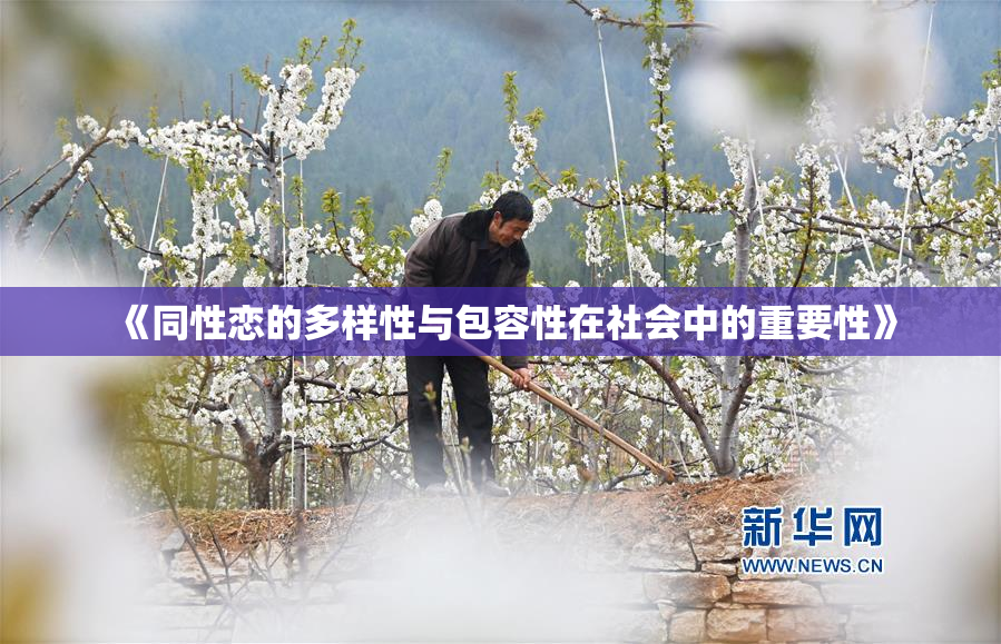 《同性恋的多样性与包容性在社会中的重要性》