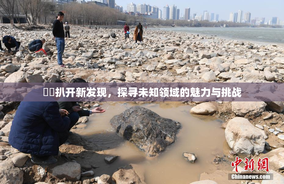 妺妺扒开新发现，探寻未知领域的魅力与挑战