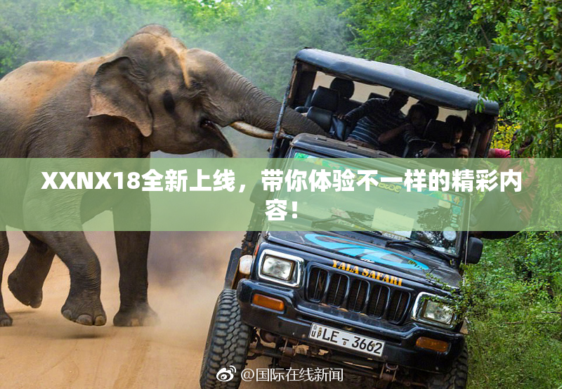 XXNX18全新上线，带你体验不一样的精彩内容！