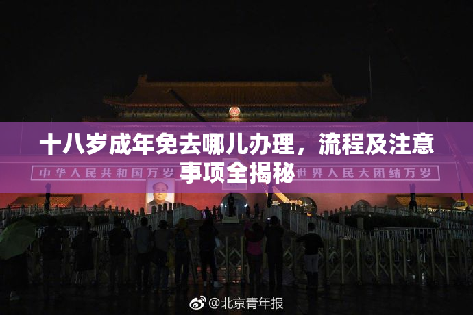 十八岁成年免去哪儿办理，流程及注意事项全揭秘