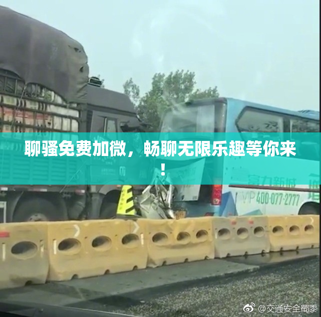 聊骚免费加微，畅聊无限乐趣等你来！