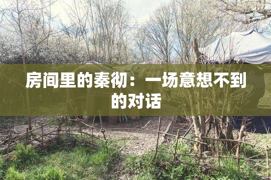 房间里的秦彻：一场意想不到的对话