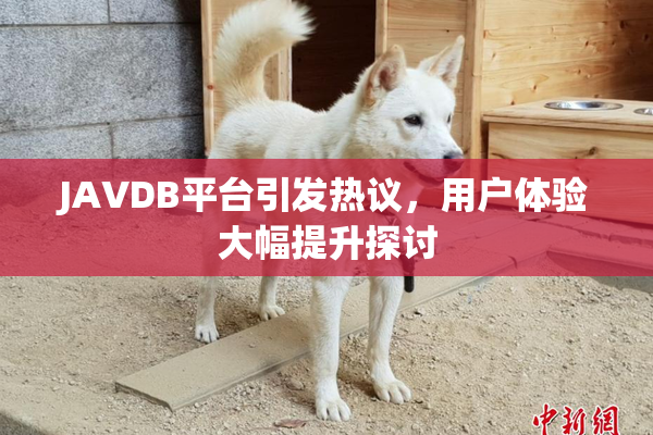 JAVDB平台引发热议，用户体验大幅提升探讨
