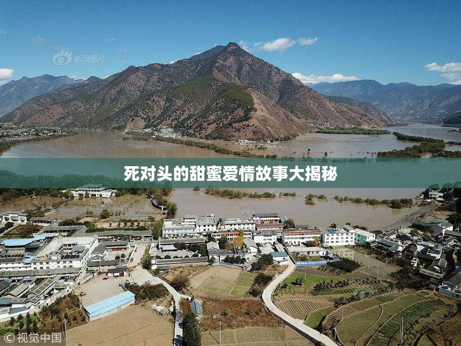 死对头的甜蜜爱情故事大揭秘