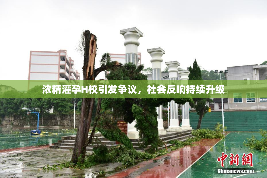 浓精灌孕H校引发争议，社会反响持续升级