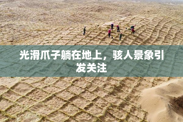 光滑爪子躺在地上，骇人景象引发关注