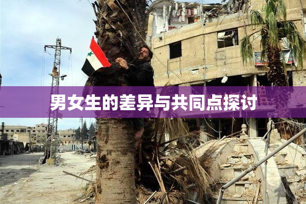 男女生的差异与共同点探讨