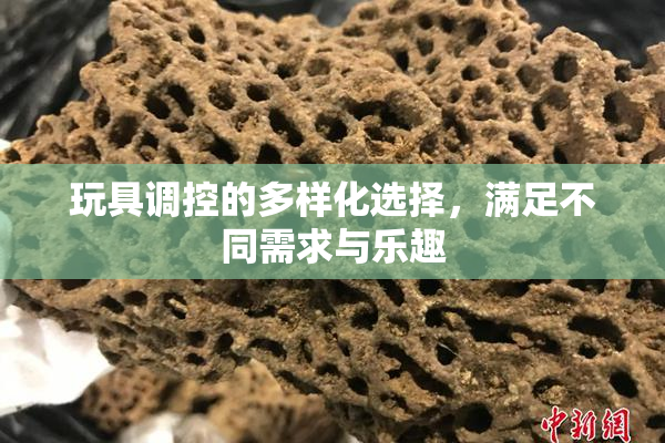 玩具调控的多样化选择，满足不同需求与乐趣