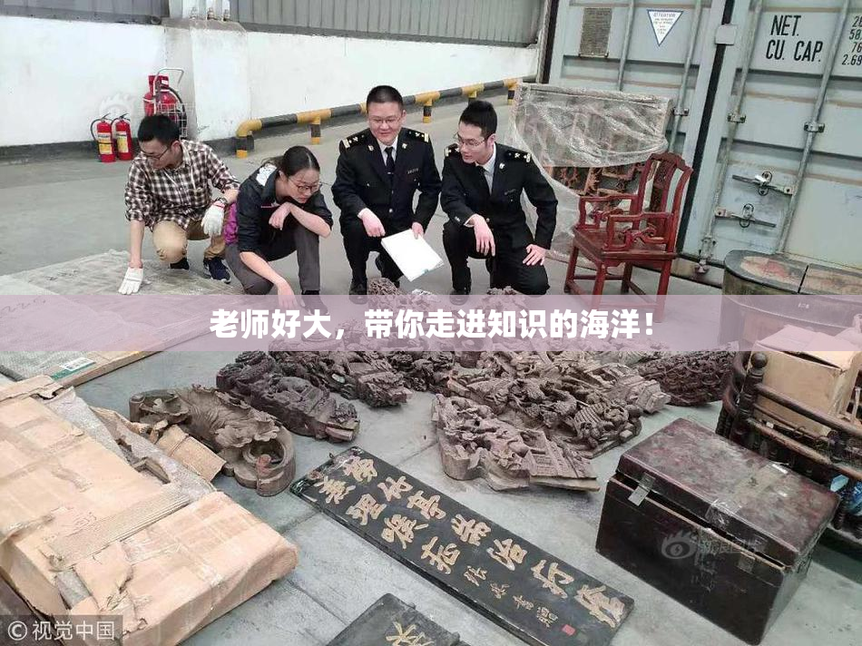 老师好大，带你走进知识的海洋！