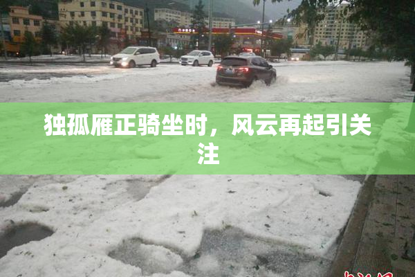 独孤雁正骑坐时，风云再起引关注