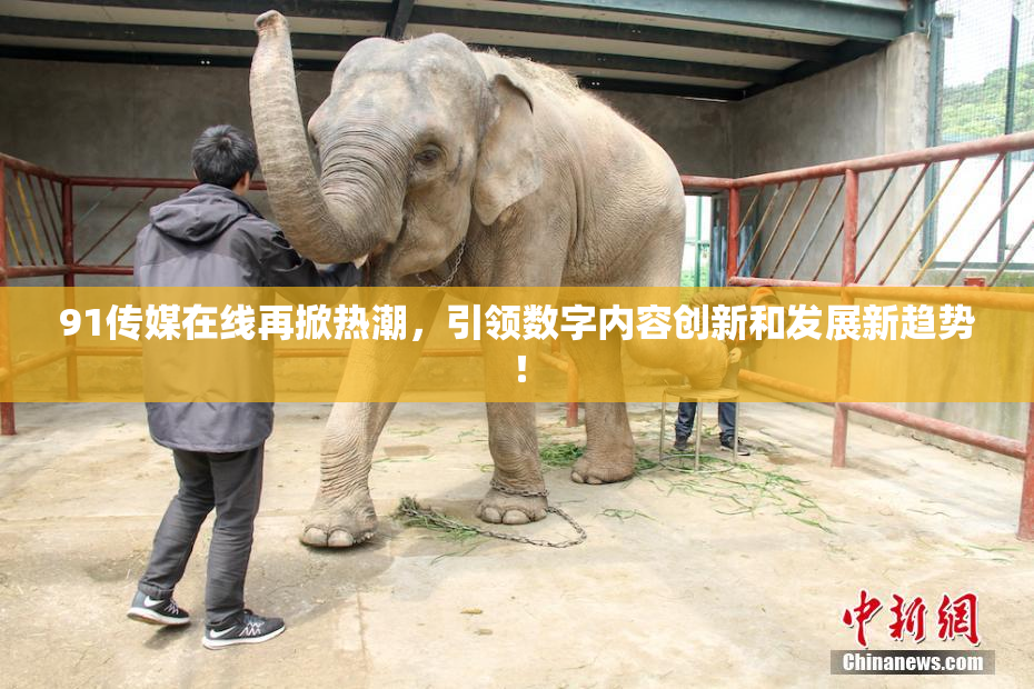91传媒在线再掀热潮，引领数字内容创新和发展新趋势！