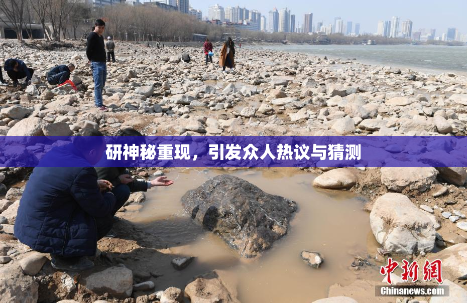 研神秘重现，引发众人热议与猜测