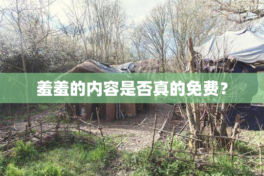 羞羞的内容是否真的免费？