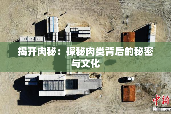 揭开肉秘：探秘肉类背后的秘密与文化