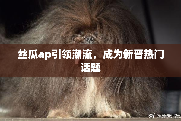 丝瓜ap引领潮流，成为新晋热门话题