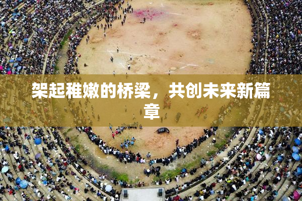 架起稚嫩的桥梁，共创未来新篇章