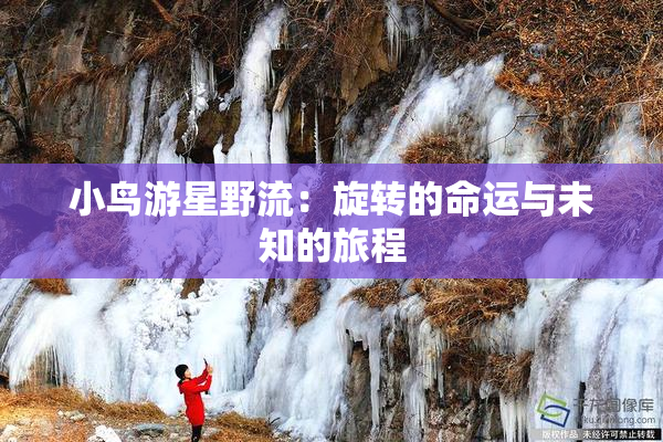 小鸟游星野流：旋转的命运与未知的旅程