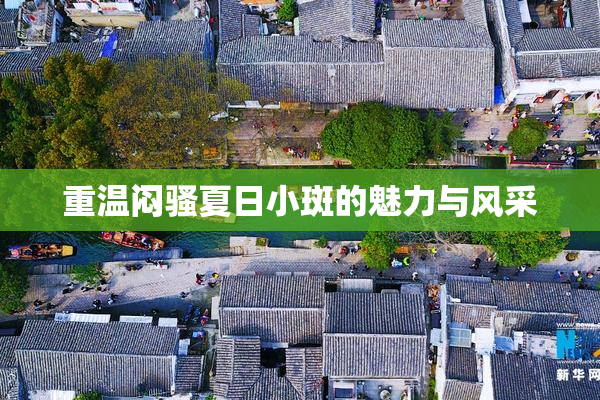 重温闷骚夏日小斑的魅力与风采