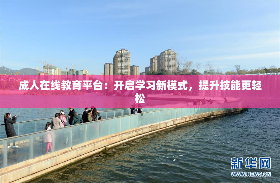 成人在线教育平台：开启学习新模式，提升技能更轻松