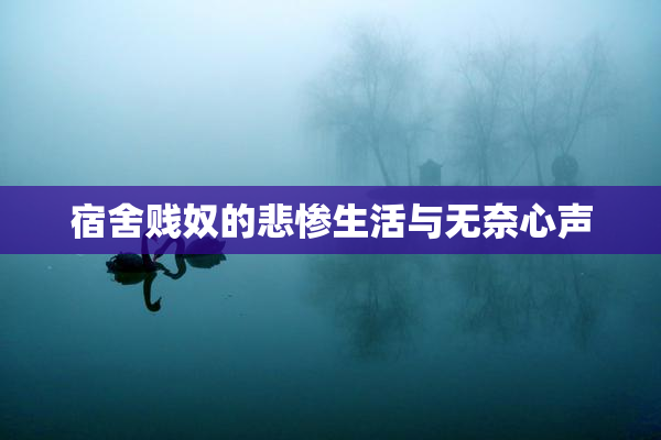 宿舍贱奴的悲惨生活与无奈心声