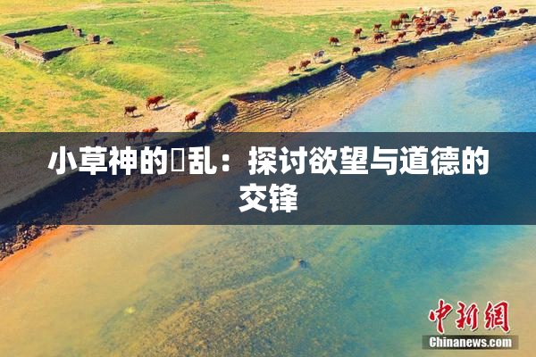 小草神的婬乱：探讨欲望与道德的交锋