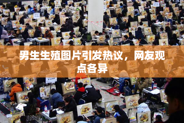 男生生殖图片引发热议，网友观点各异