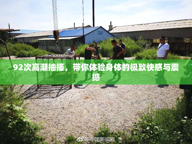 92次高潮抽搐，带你体验身体的极致快感与震撼