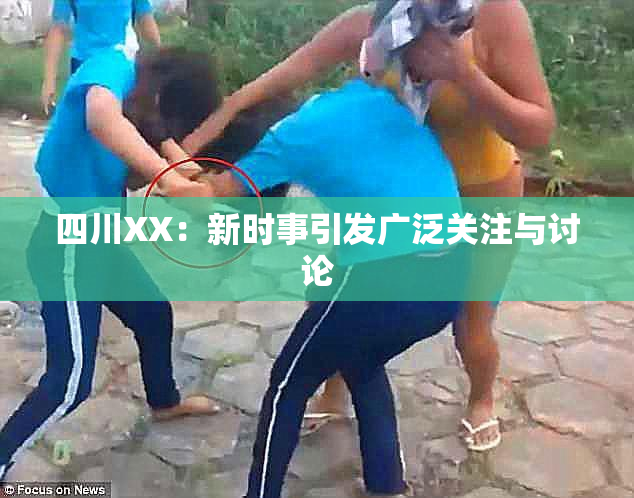 四川XX：新时事引发广泛关注与讨论