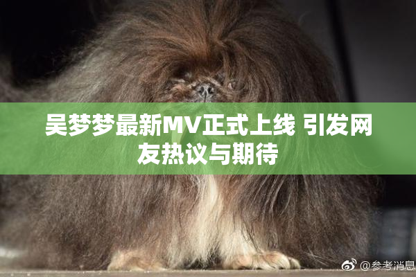 吴梦梦最新MV正式上线 引发网友热议与期待