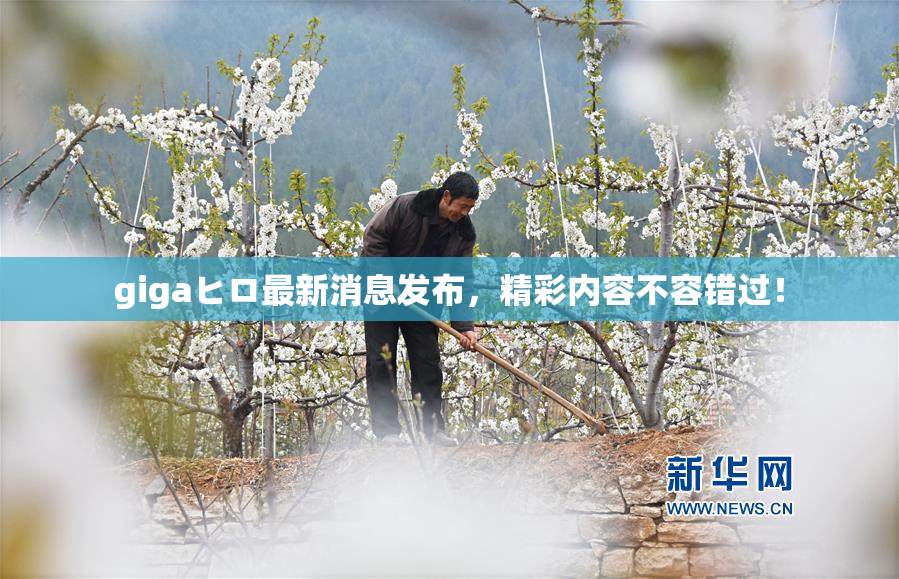 gigaヒロ最新消息发布，精彩内容不容错过！