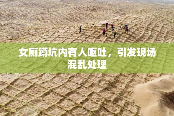 女厕蹲坑内有人呕吐，引发现场混乱处理