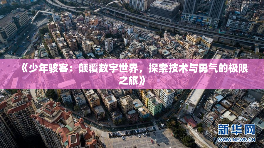 《少年骇客：颠覆数字世界，探索技术与勇气的极限之旅》