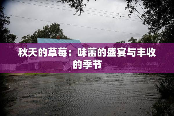 秋天的草莓：味蕾的盛宴与丰收的季节