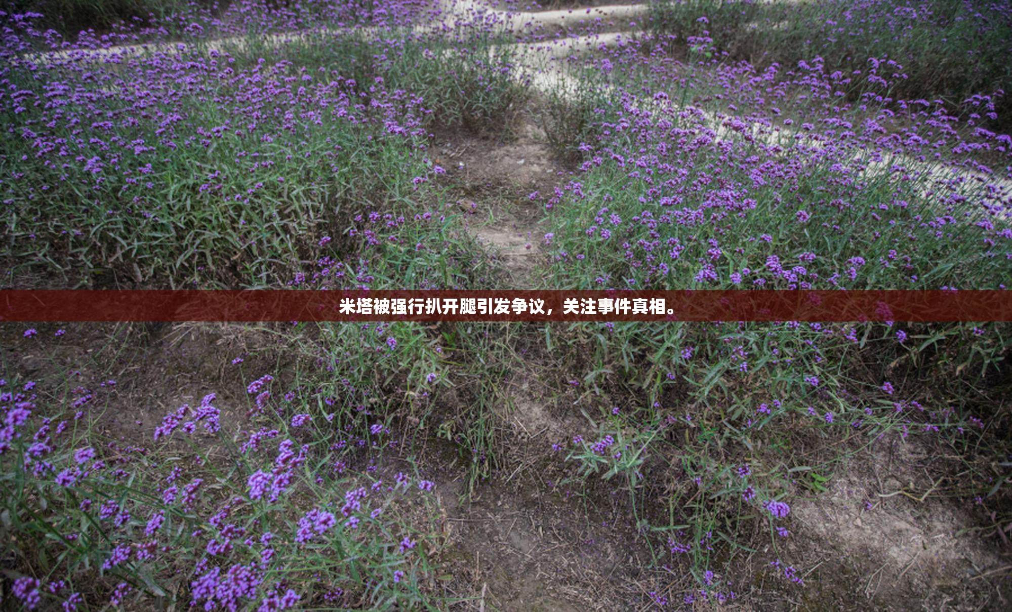 米塔被强行扒开腿引发争议，关注事件真相。