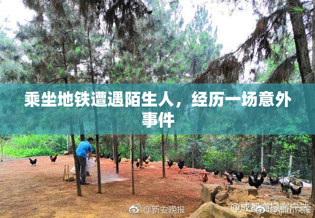 乘坐地铁遭遇陌生人，经历一场意外事件