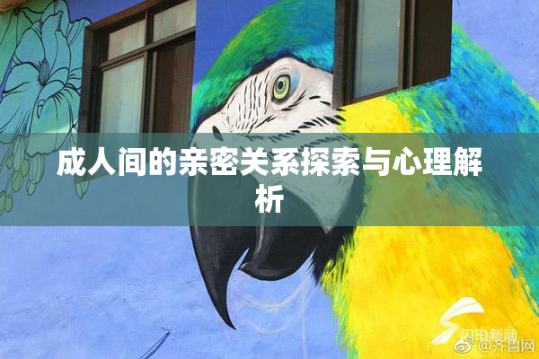 成人间的亲密关系探索与心理解析