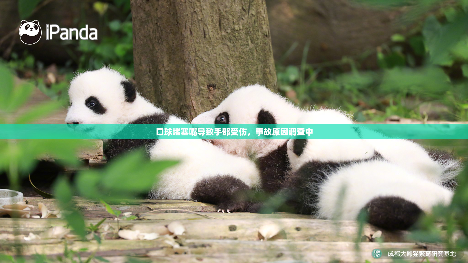 口球堵塞嘴导致手部受伤，事故原因调查中