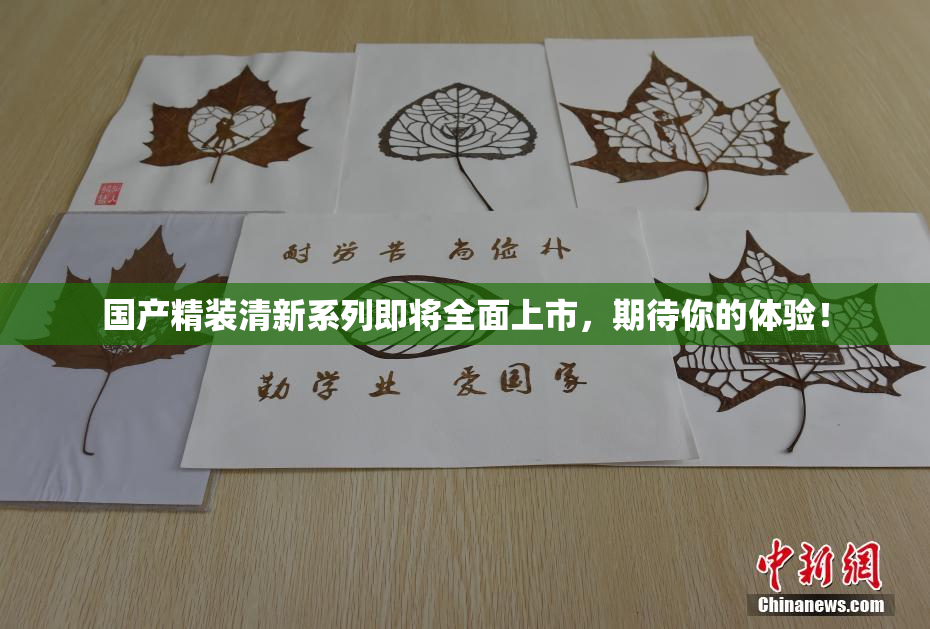 国产精装清新系列即将全面上市，期待你的体验！