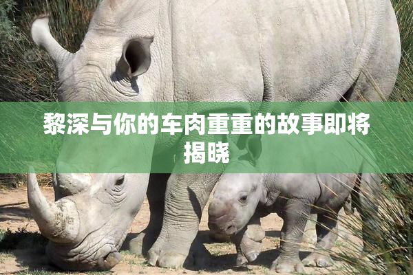 黎深与你的车肉重重的故事即将揭晓
