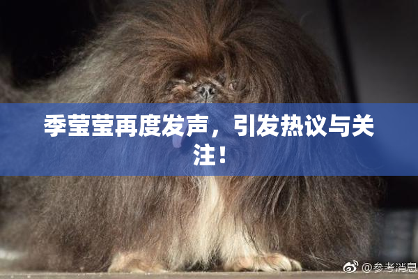 季莹莹再度发声，引发热议与关注！