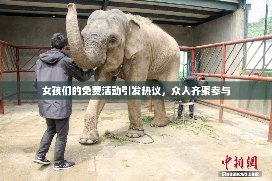 女孩们的免费活动引发热议，众人齐聚参与