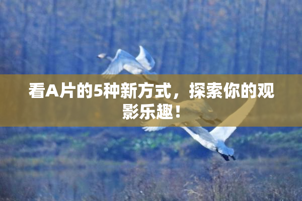 看A片的5种新方式，探索你的观影乐趣！