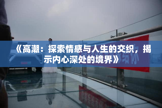 《高潮：探索情感与人生的交织，揭示内心深处的境界》