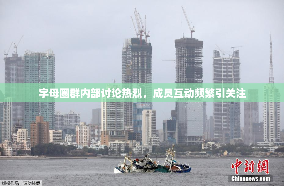 字母圈群内部讨论热烈，成员互动频繁引关注